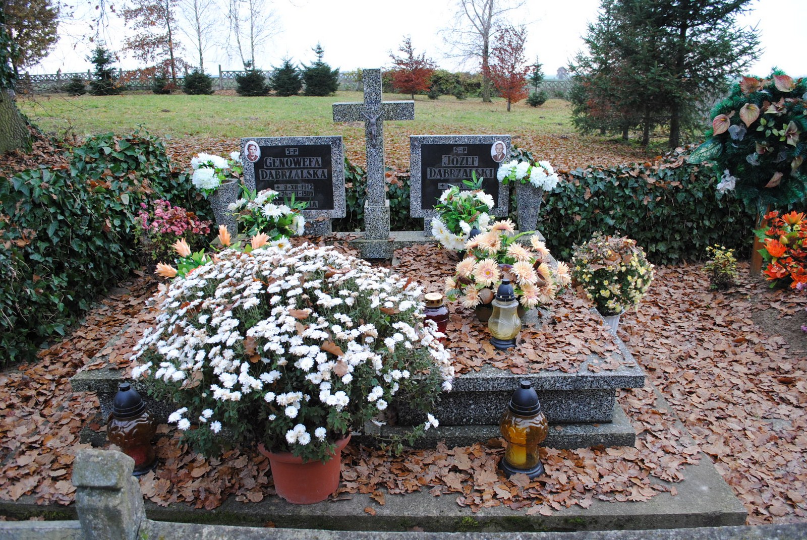 Genofewa Dąbrzalska Przelewice - Grobonet - Wyszukiwarka osób pochowanych