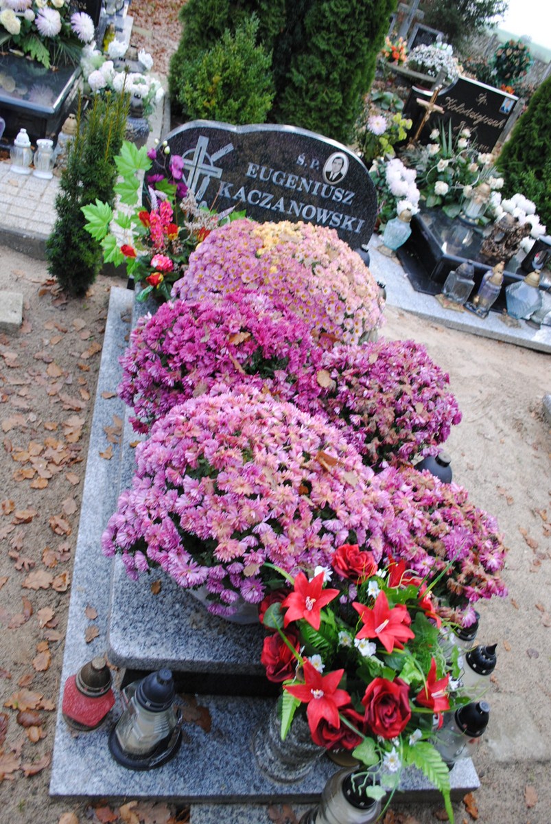 Zofia Halina Kaczanowska Przelewice - Grobonet - Wyszukiwarka osób pochowanych