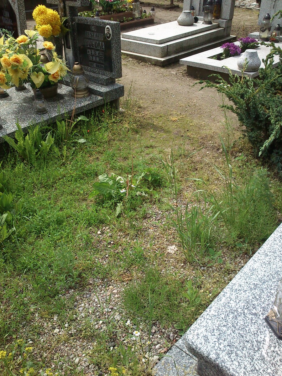 Agnieszka, Maria Paliwoda 1982 Przelewice - Grobonet - Wyszukiwarka osób pochowanych