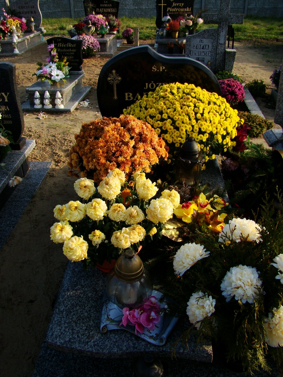 Józef Bartczak Przelewice - Grobonet - Wyszukiwarka osób pochowanych